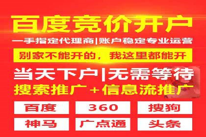 百度竞价广告运营全解析：成功案例揭秘